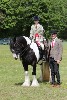thornton-le-dale-gala showclass7acharity25-5-20244